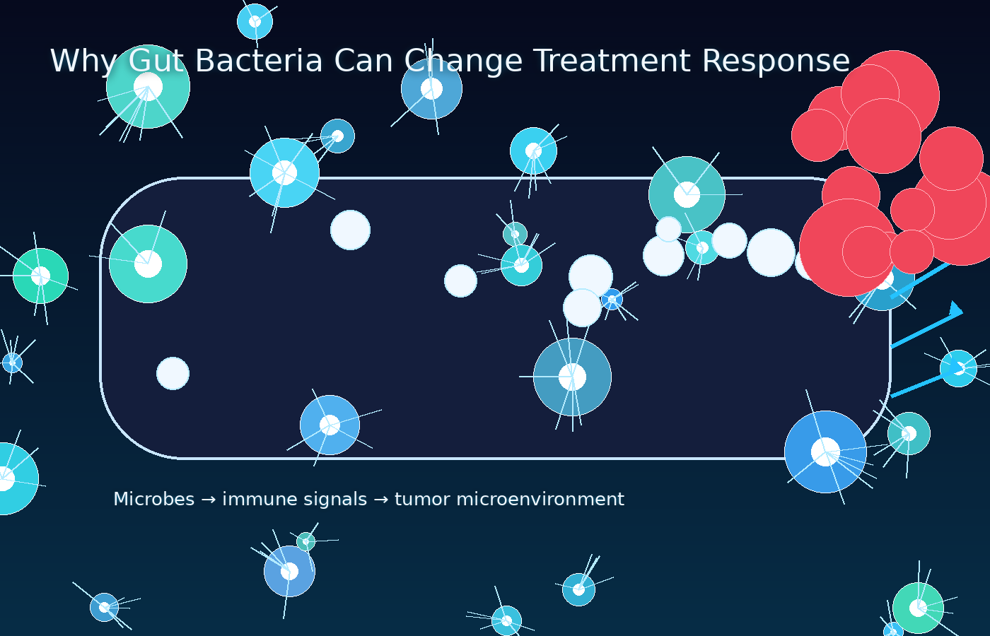 Diagram showing gut microbes influencing immune response and tumor microenvironment