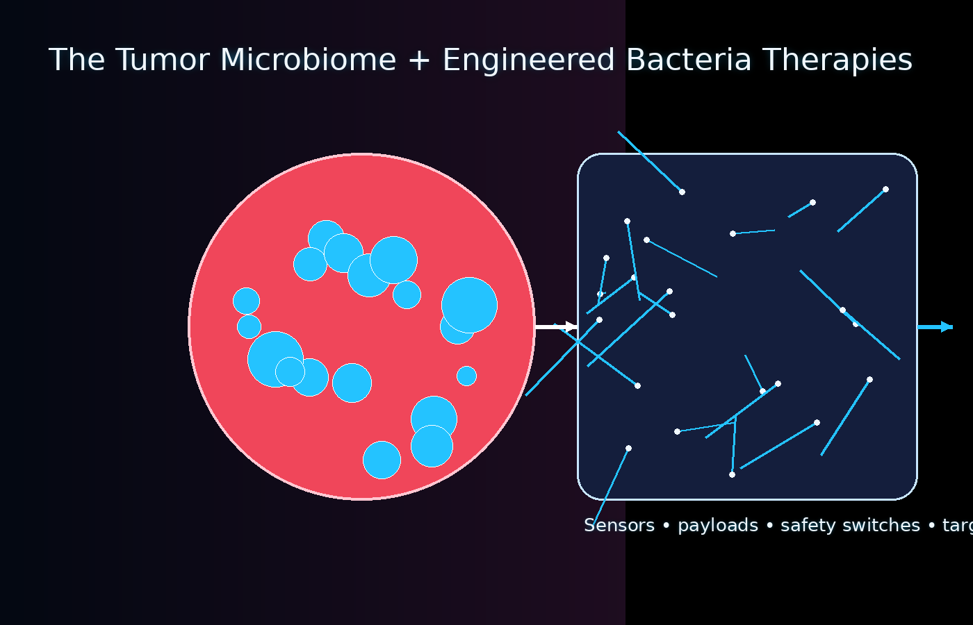 Diagram showing tumor microbiome and engineered bacteria therapy module