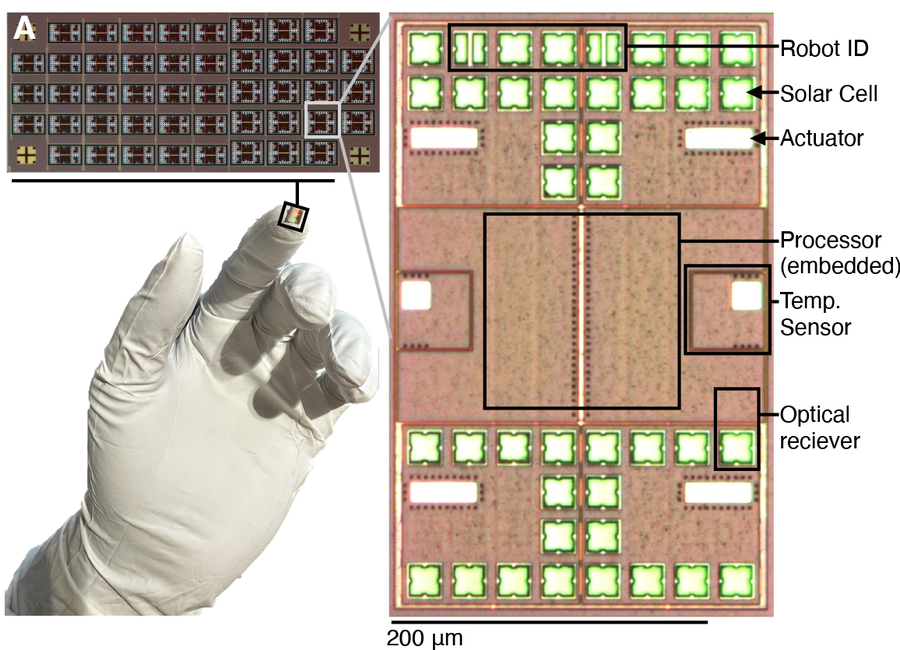 Microrobot component layout showing solar cells, processor, and sensor arrangement